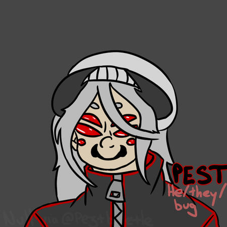 Pest pfp